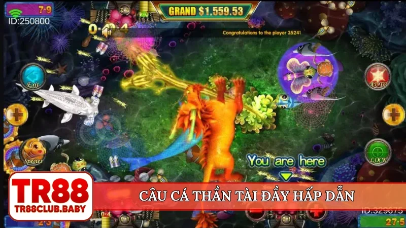 Câu Cá Thần Tài đầy hấp dẫn