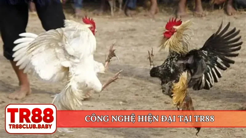 Công nghệ hiện đại tại TR88