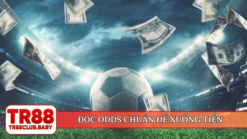 Đọc odds chuẩn để xuống tiền