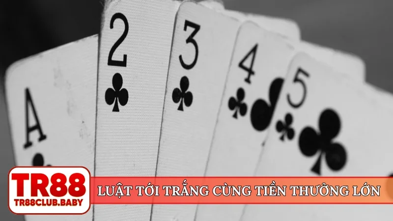 Luật tới trắng cùng tiền thưởng lớn