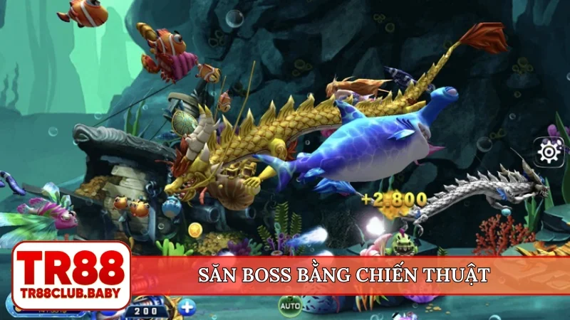 Săn boss bằng chiến thuật