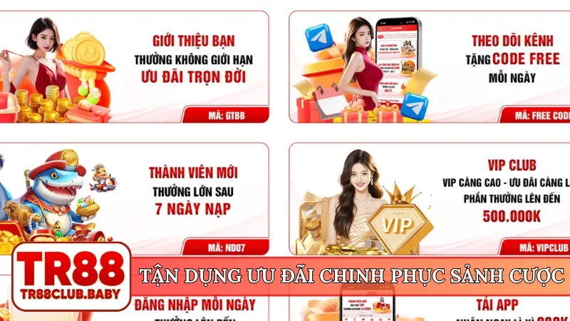 Tận dụng ưu đãi chinh phục sảnh cược