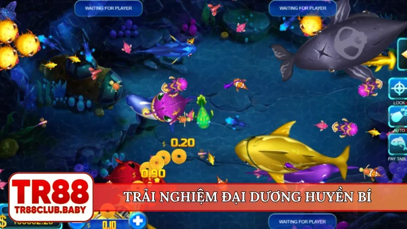 Trải nghiệm đại dương huyền bí